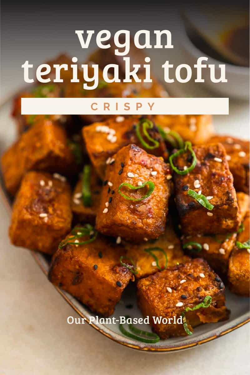 Crispy Teriyaki Tofu Puffs