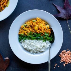 red lentils curry plate