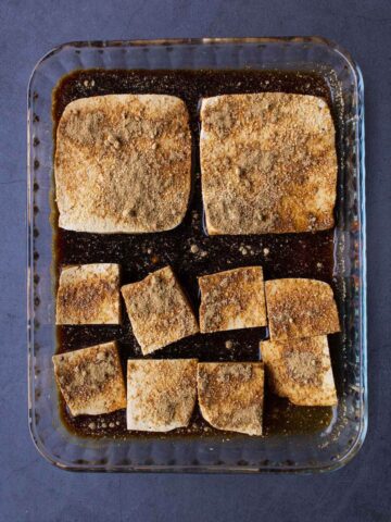 marinating extra firm tofu with garlic powder and soy sauce