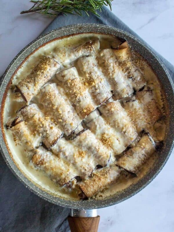 Vegan Main Meals Recipes • Our Plant-Based World