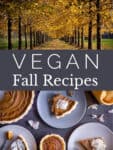 Best Vegan Fall Recipes
