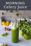celery green juice