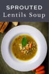 Curried Hearty and Spicy Sprouted Lentils Soup