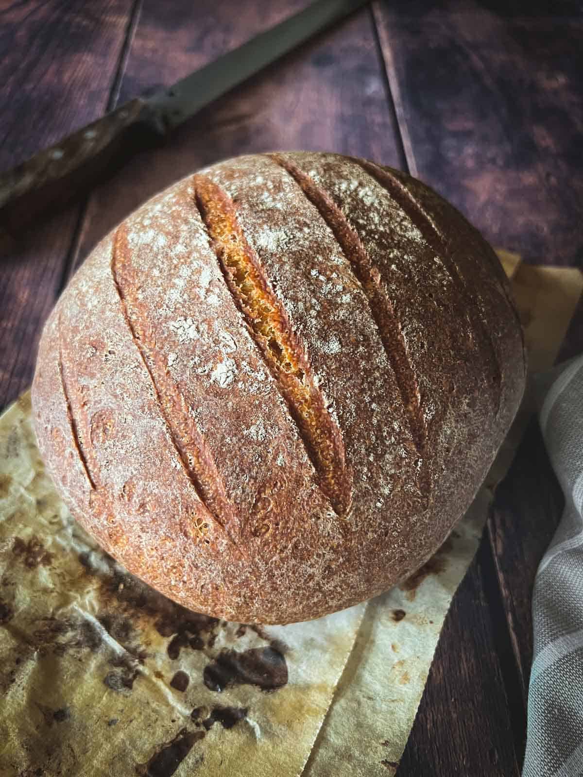 italian pagnotta bread to scrape the leftovers of the risotto.