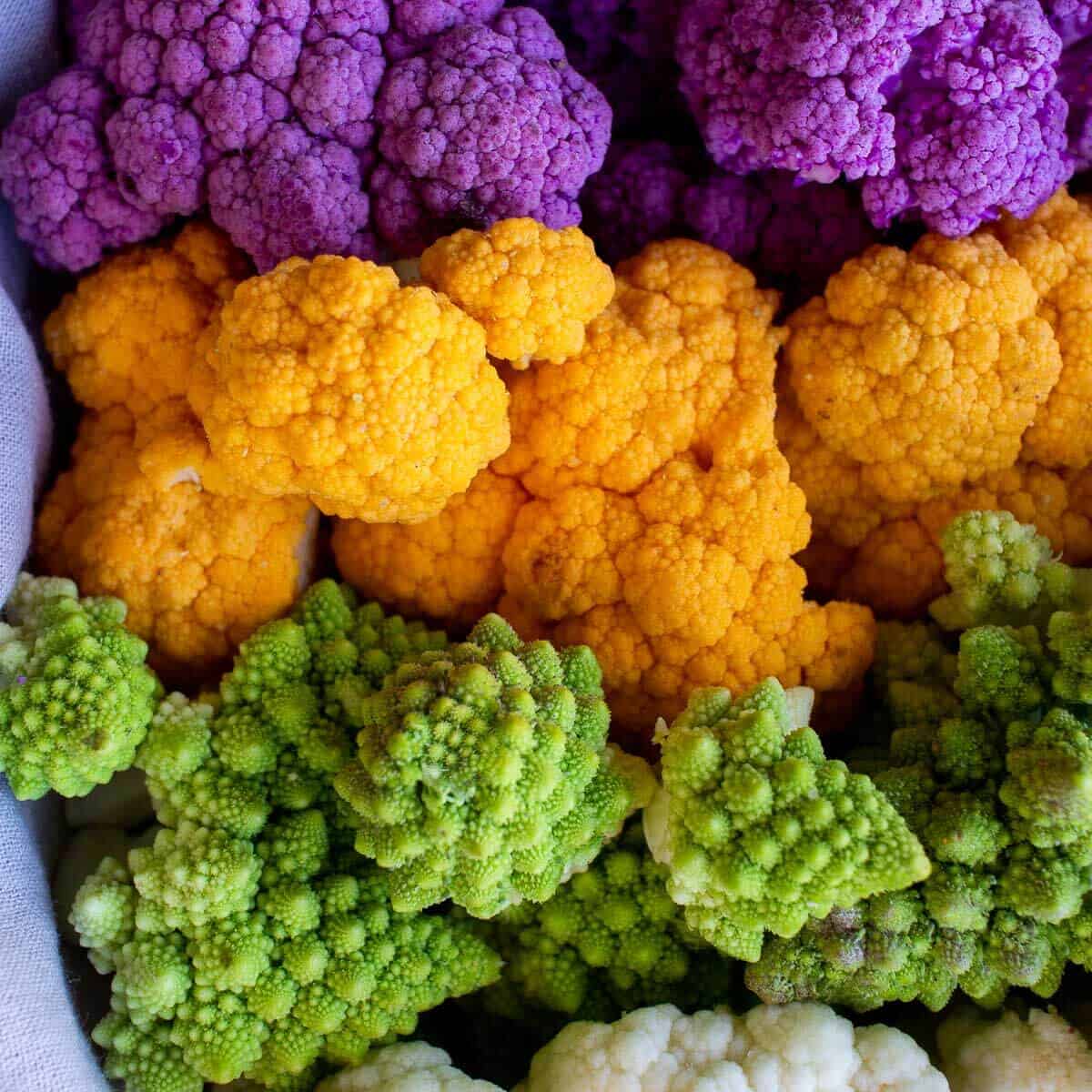 Colorful Broccoli and Cauliflowers