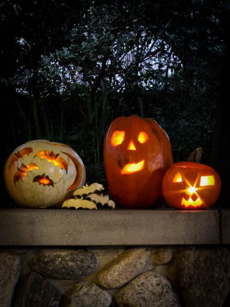 Jack-o'-Lantern Pumpkins halloween