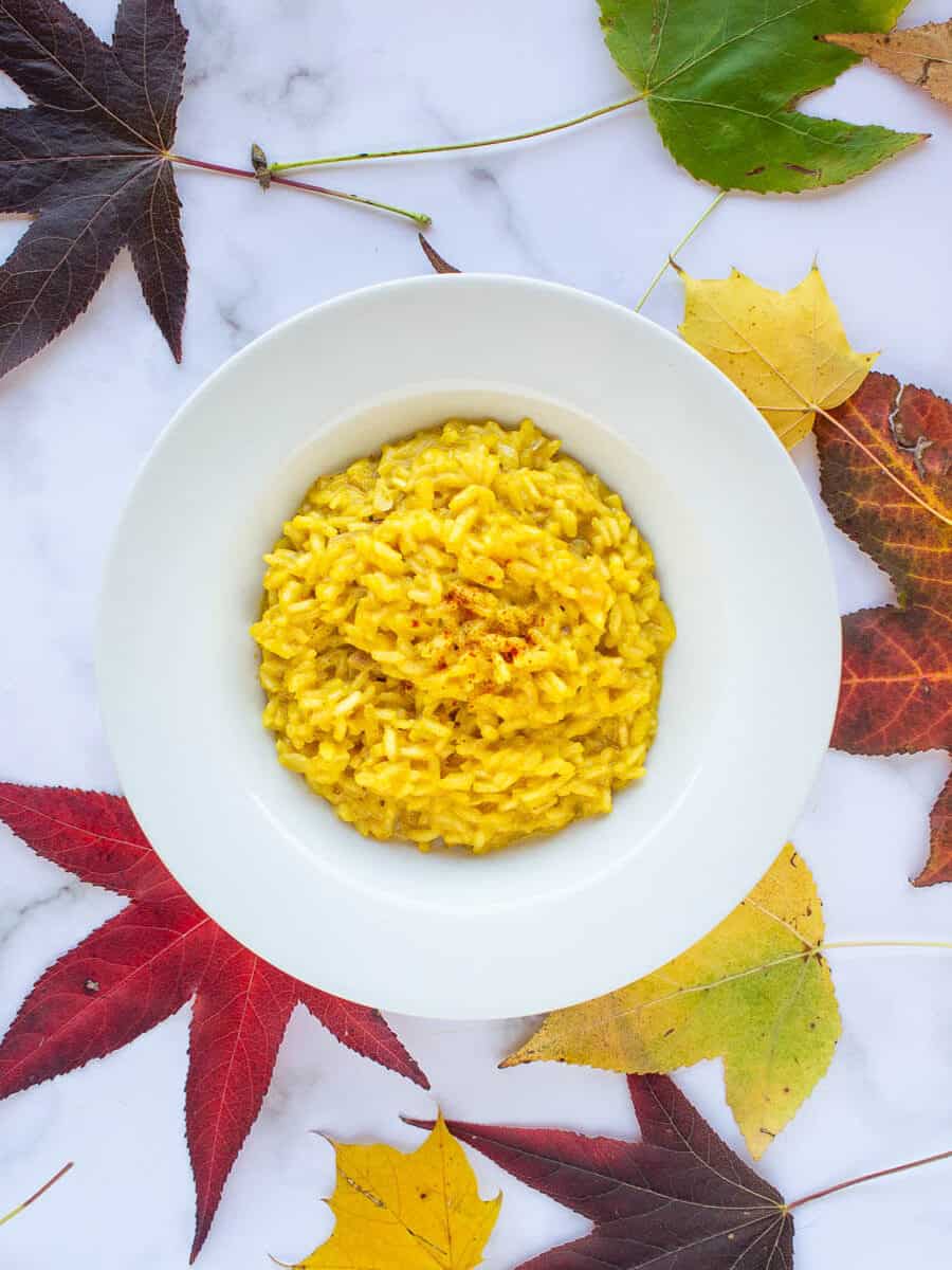 Vegan Main Meals Recipes | Our Plant-Based World