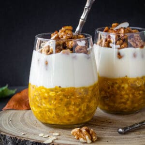 overnightaovernight pumpkin oats frontal view pumpkin oats frontview