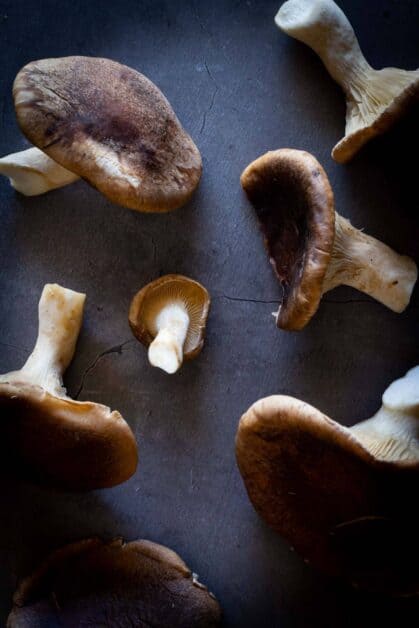 cardoncelli mushrooms.