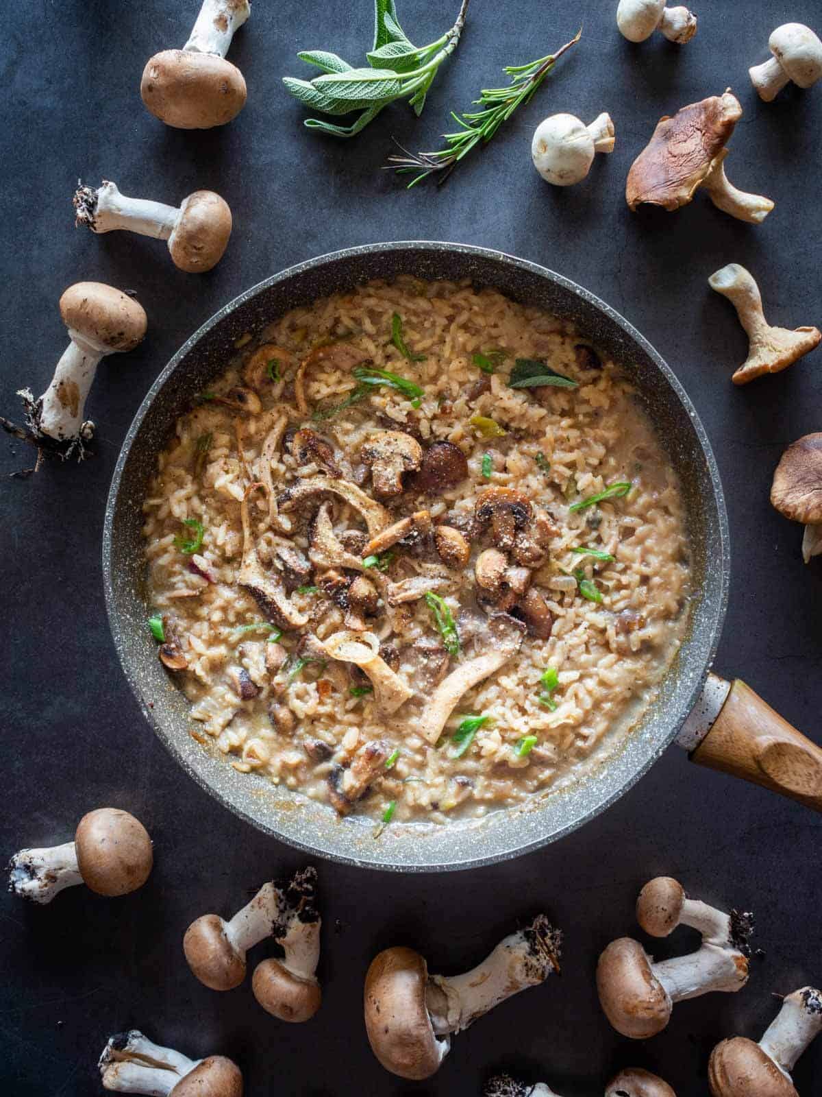 finished vegan mushroom risotto in flat saucepan
