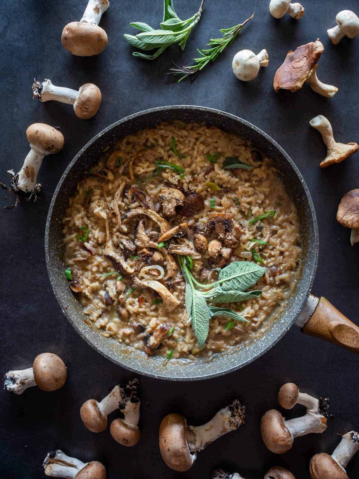 finished vegan mushroom risotto in flat saucepan