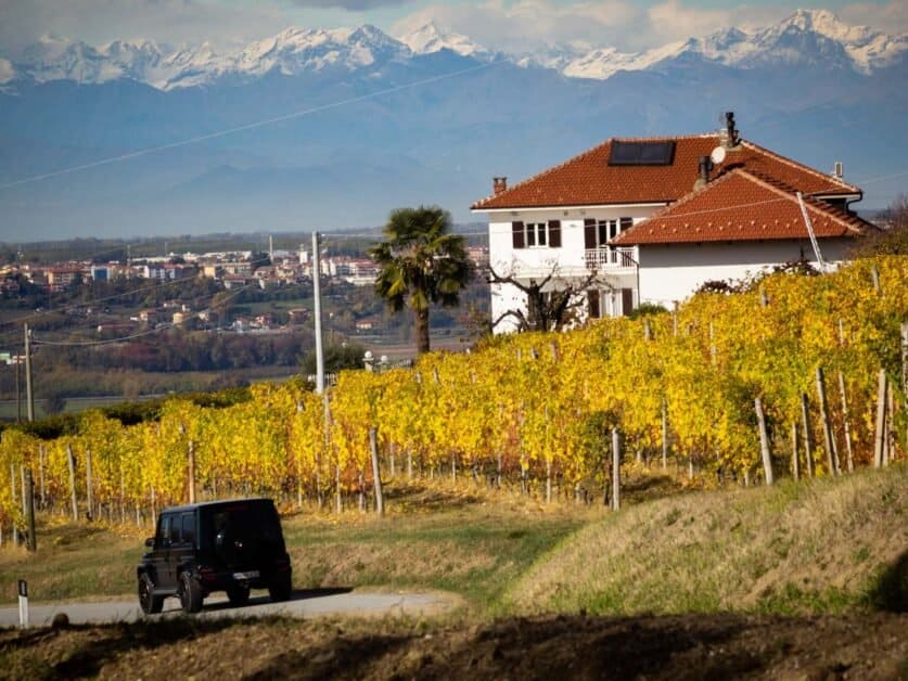 wineyards barolo region italy