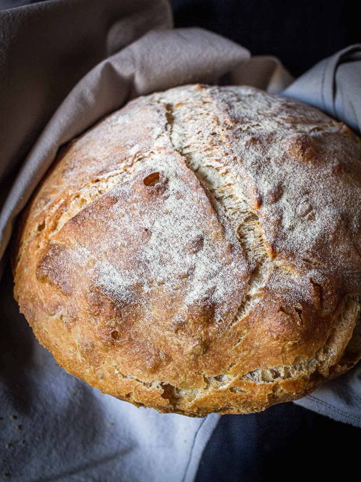 pagnotta bread loaf