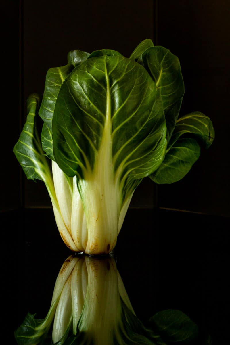 white Swiss Chard also called coste or bietola in Italian