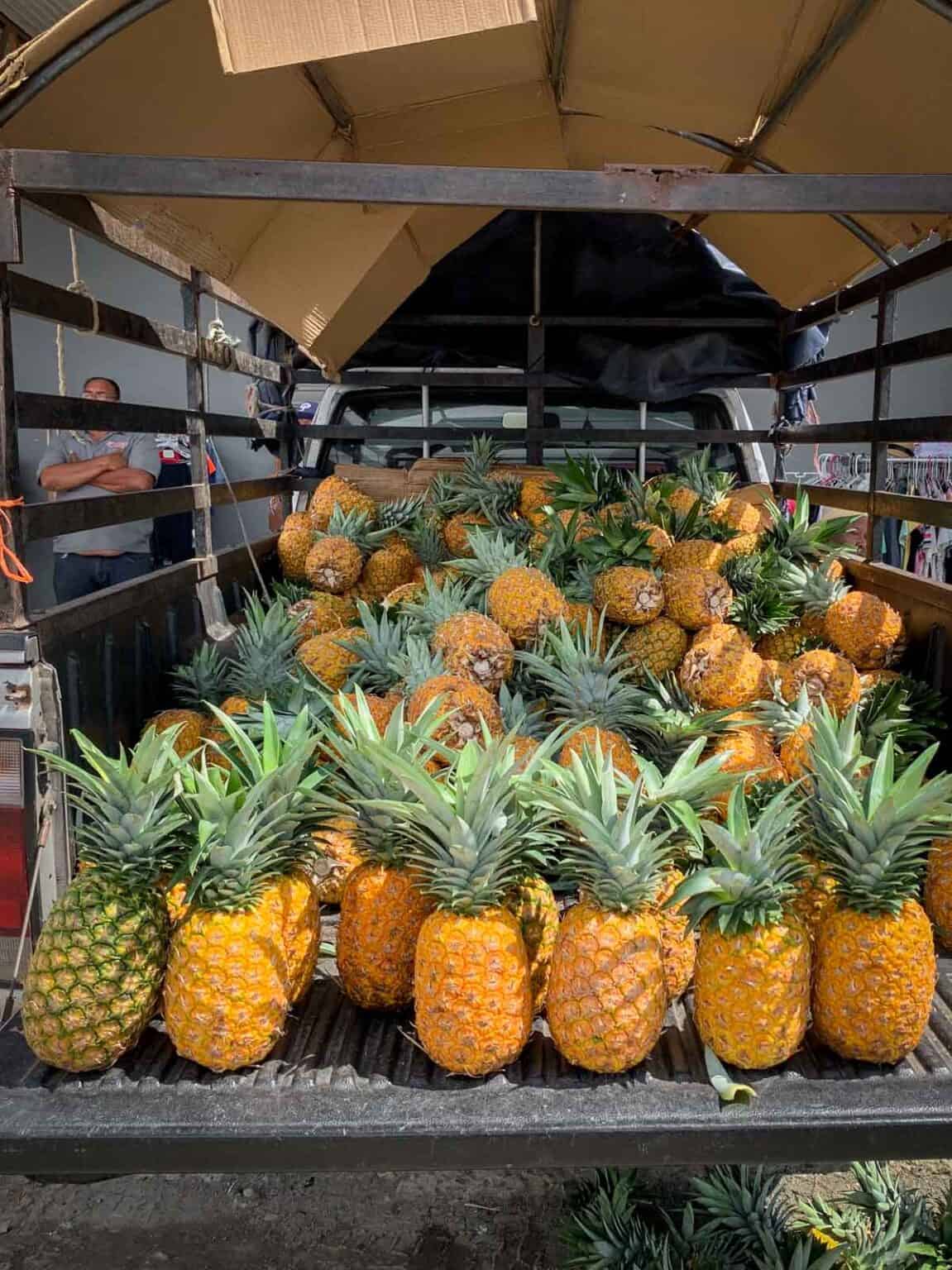 Pineapple Cucumber Ginger Lemon Weight Loss Juice Our PlantBased World