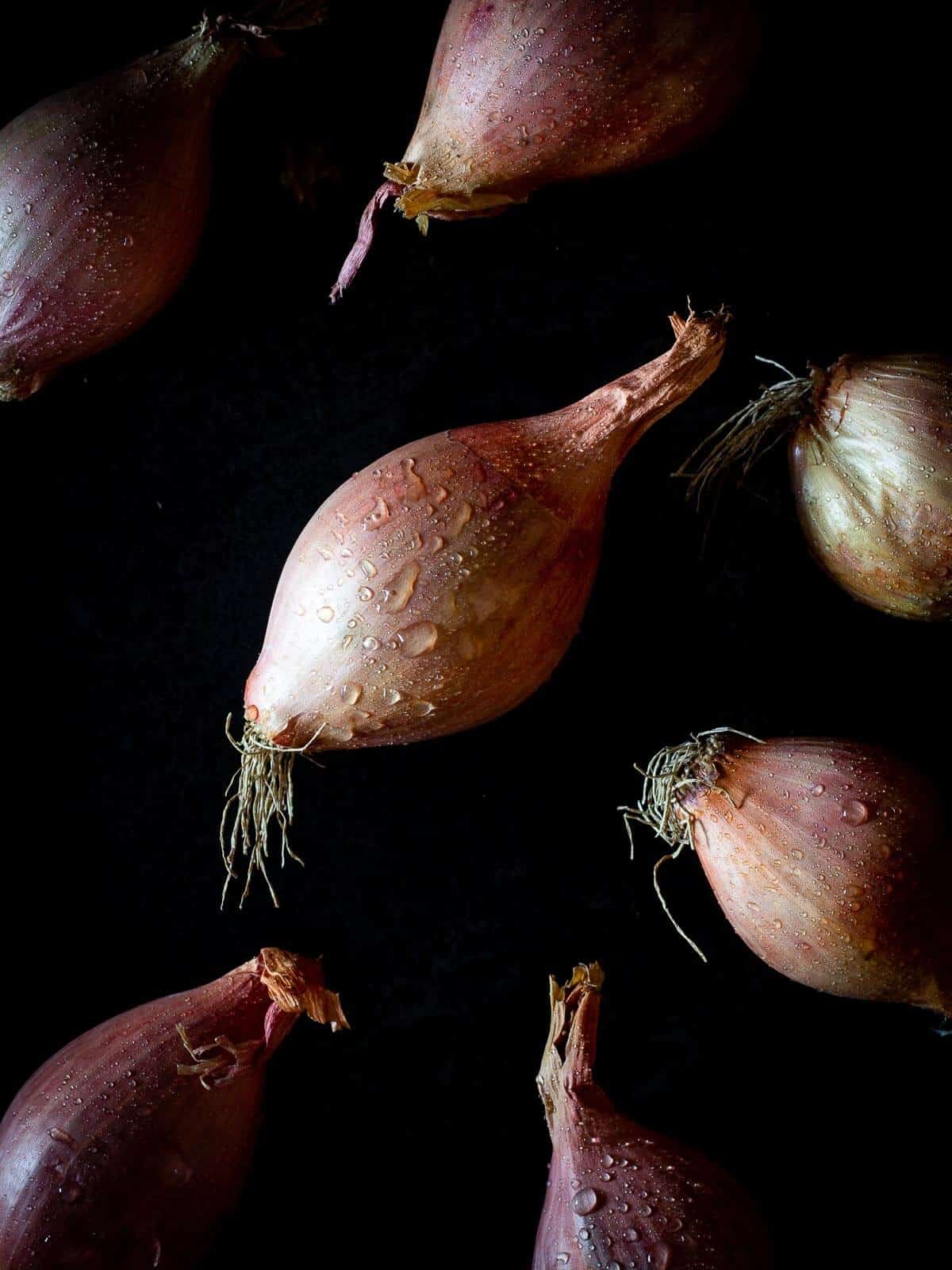shallots as a leek replacement.