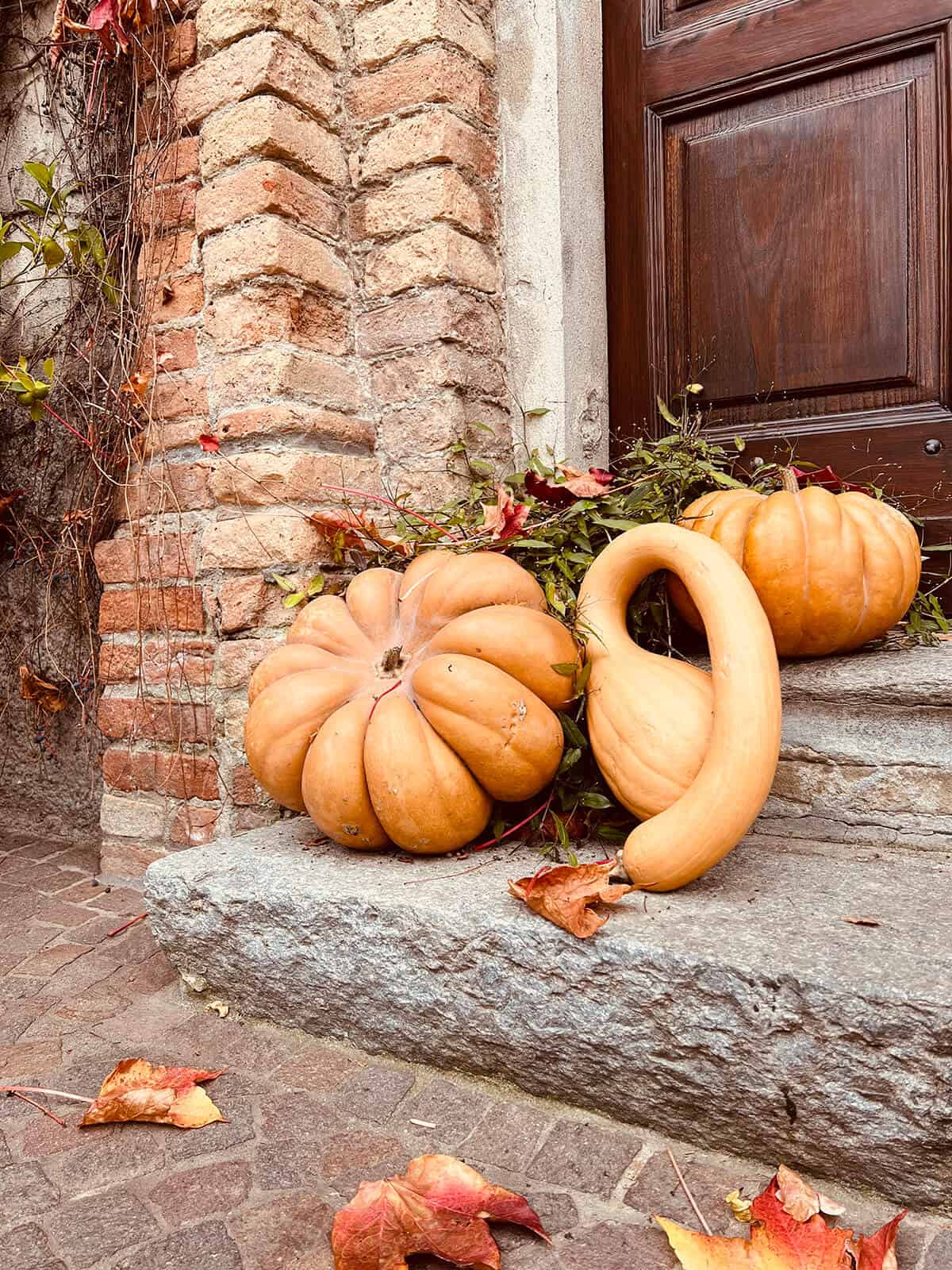 pumpkin squash outside of a door in montferro