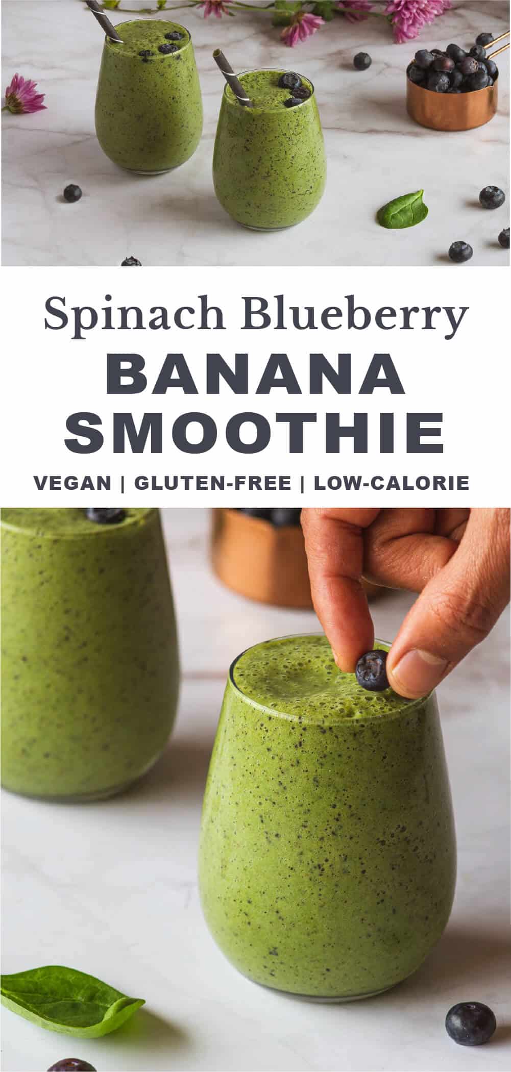 Spinach Blueberry Banana Smoothie | Our Plant-Based World