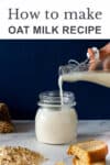 oat milk benefits pin
