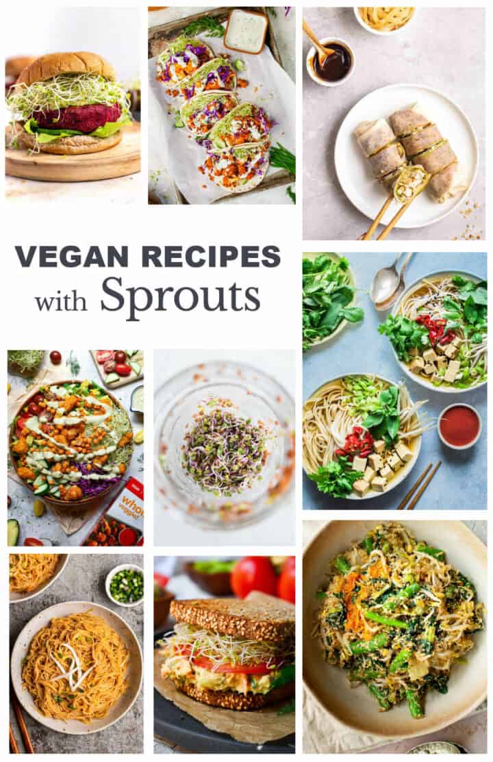 15 Recipes with Sprouts, How to eat Sprouts Ideas