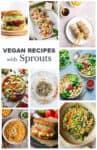 vegan recipes using sprouts poster