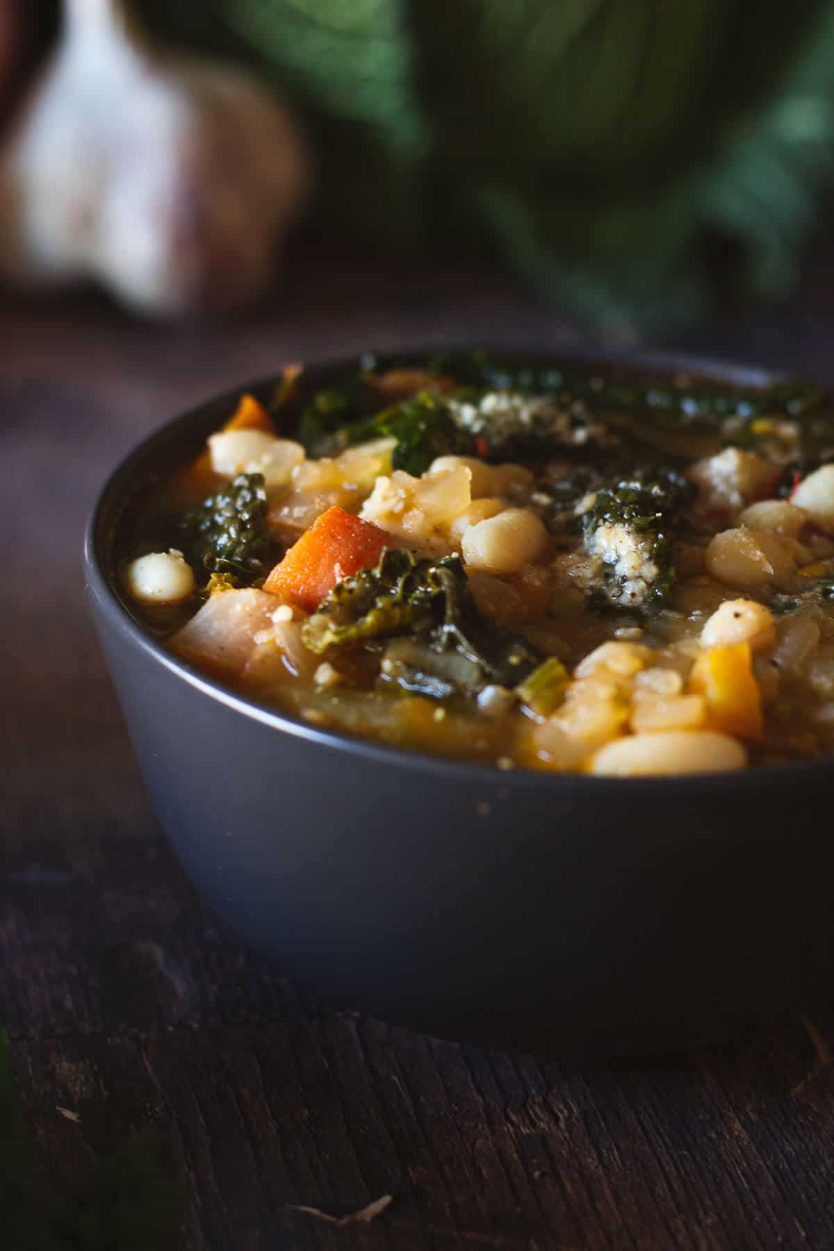 white bean soup ribollita looked at 45 degrees