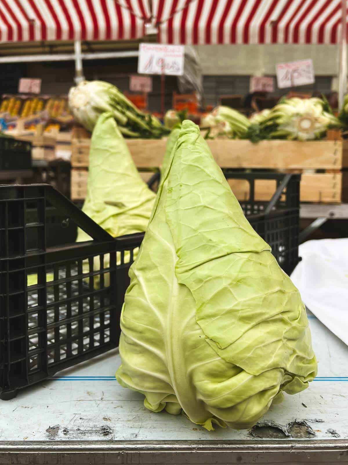cone shaped cabbage in farmers market