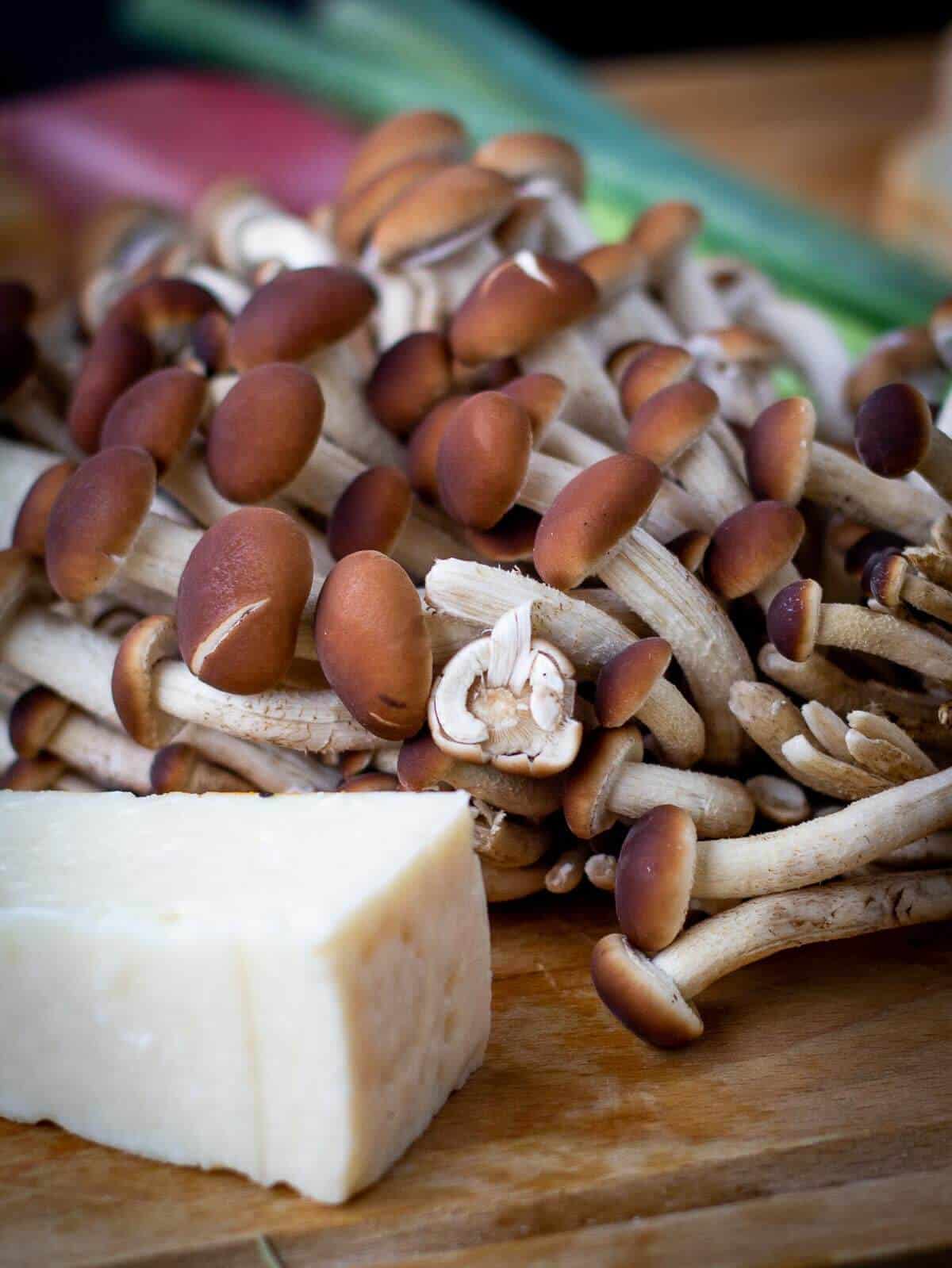 Herbs Stuffed Mushrooms