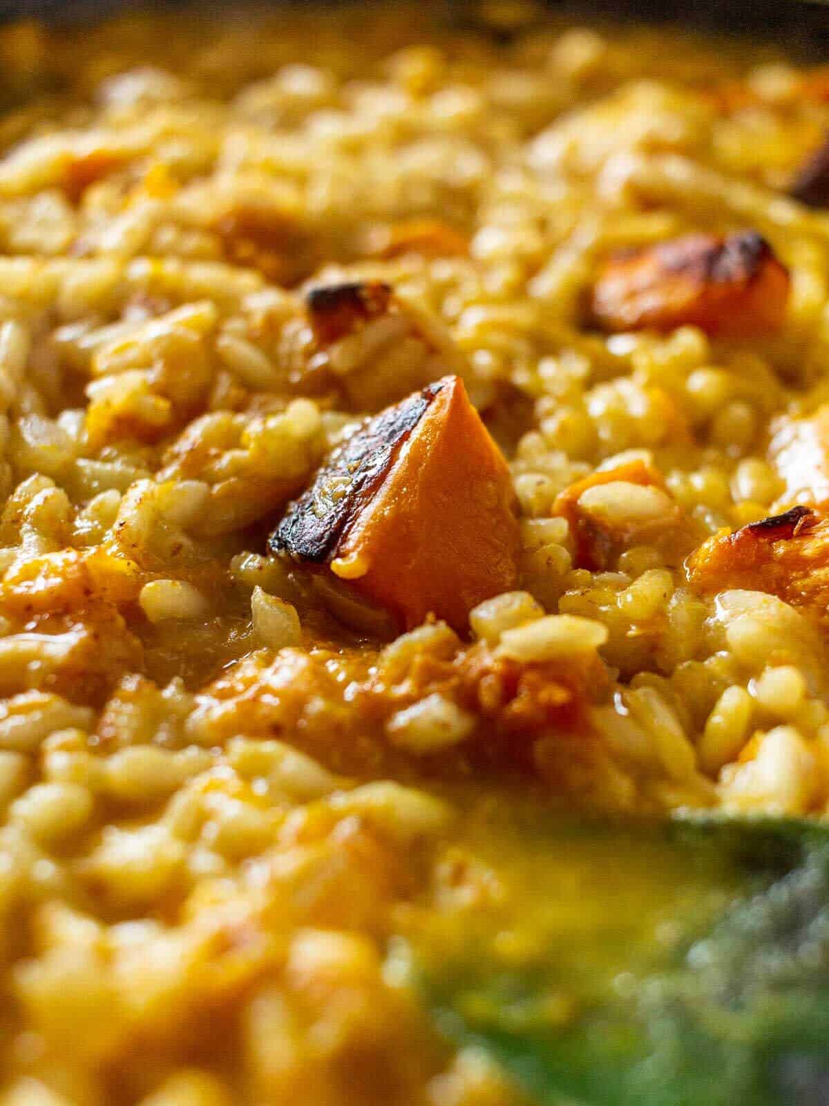 pumpkin risotto with roasted dice on top