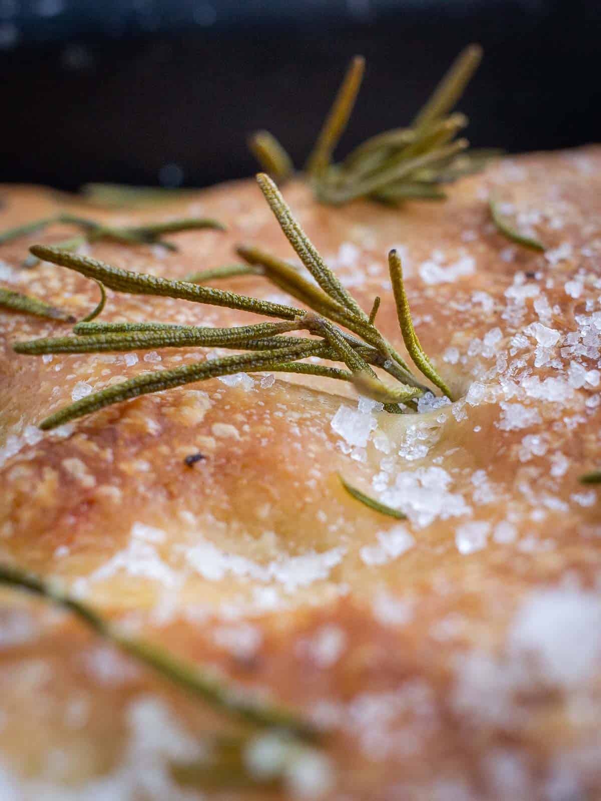 close up rosemary focaccia