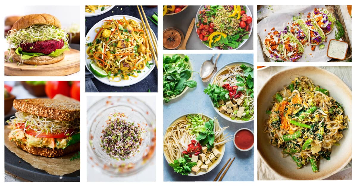 15 Recipes with Sprouts, How to eat Sprouts Ideas