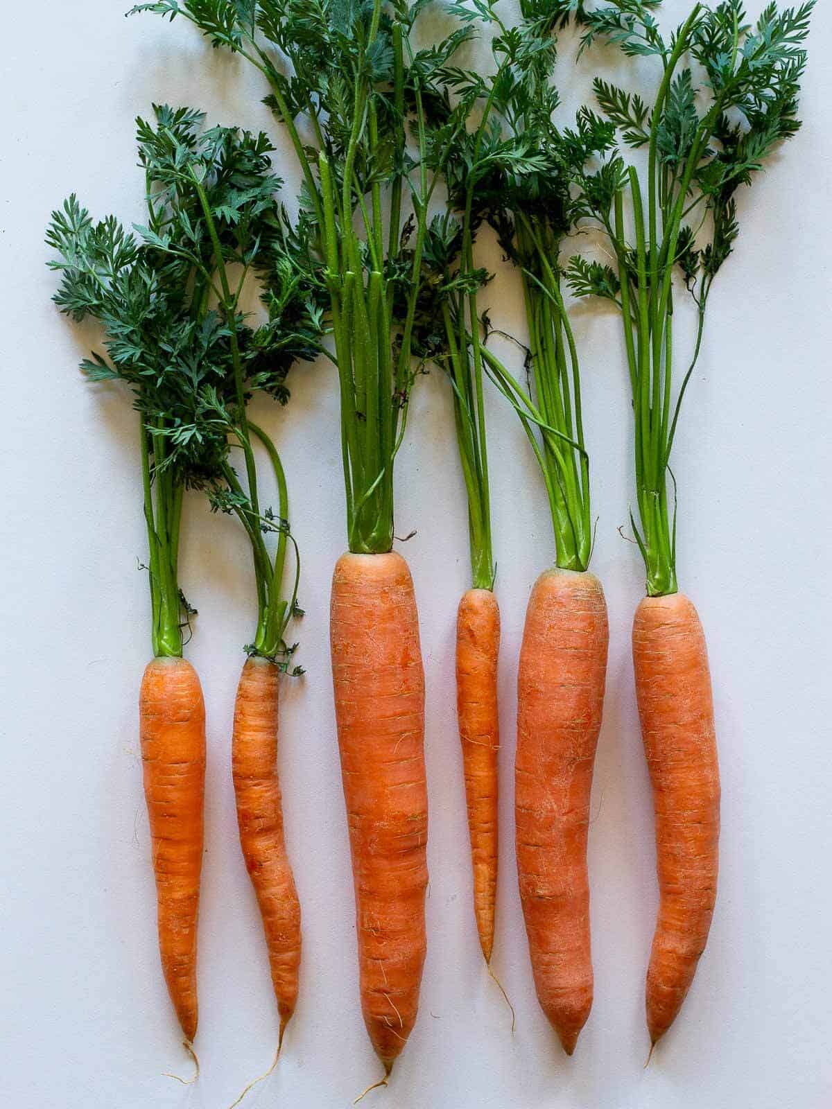 Lined Organic Carrots