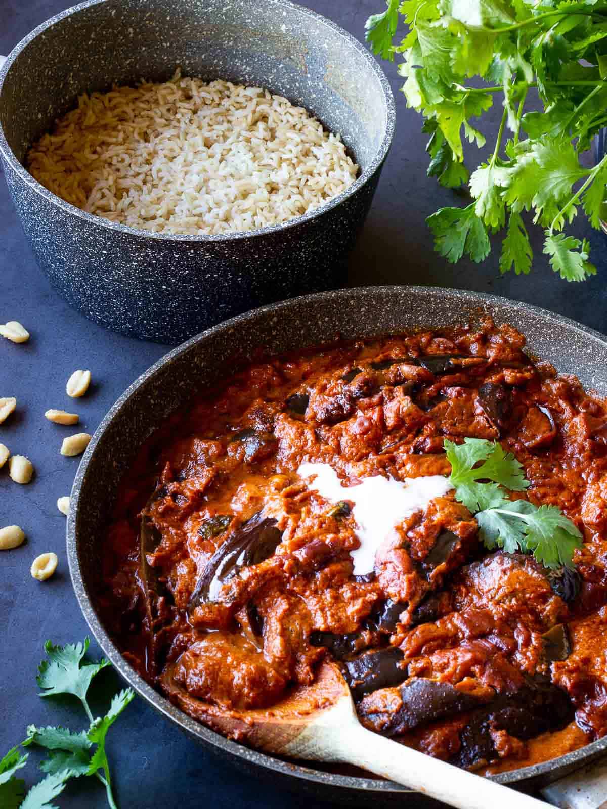 Eggplant Curry garnished with coconut milk and served with basmati rice.