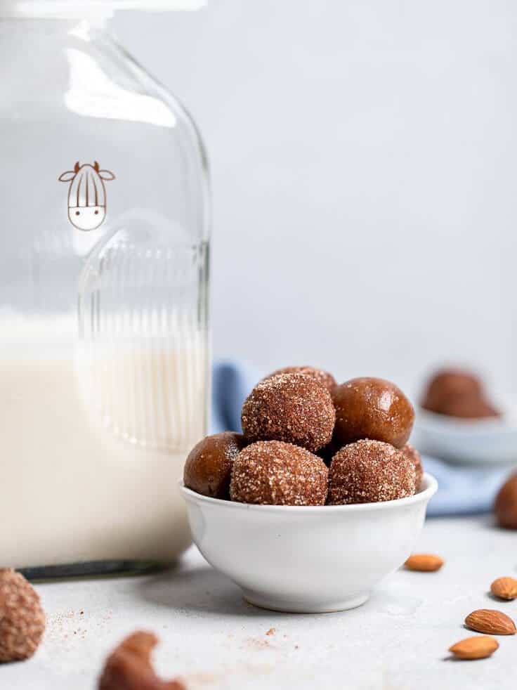 vegan snickerdoodle power balls