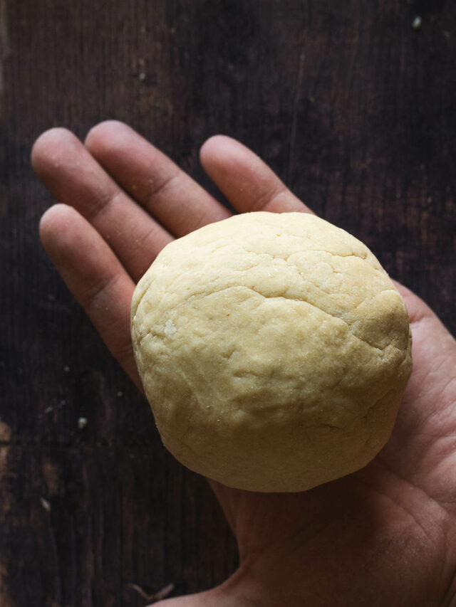 Vegan Homemade Pasta Dough