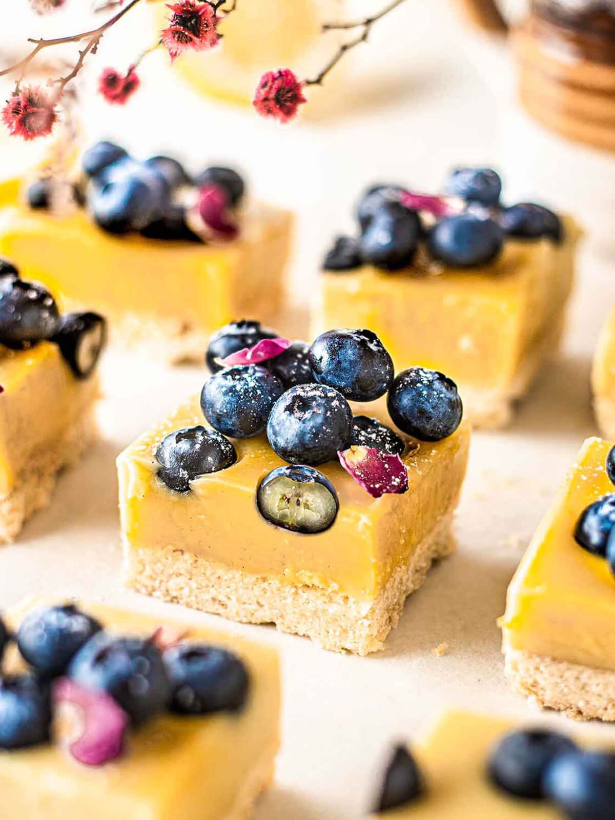 blueberry and lemon sliced into small squares