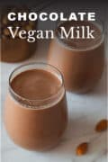 vegan chocolate milk pin 1