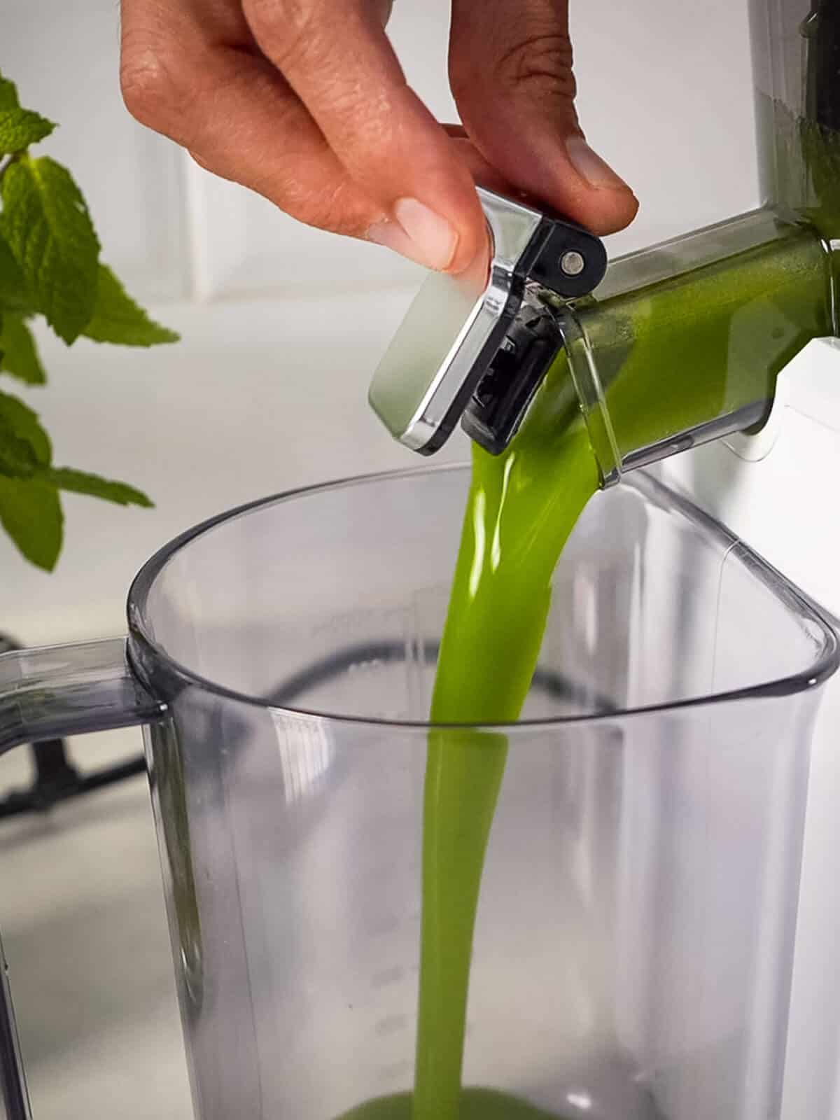 juice pouring from juicer.