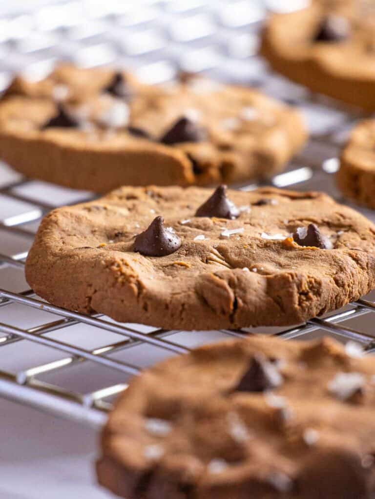 Vegan Protein Cookies Recipe (4 Ingredients + GlutenFree)