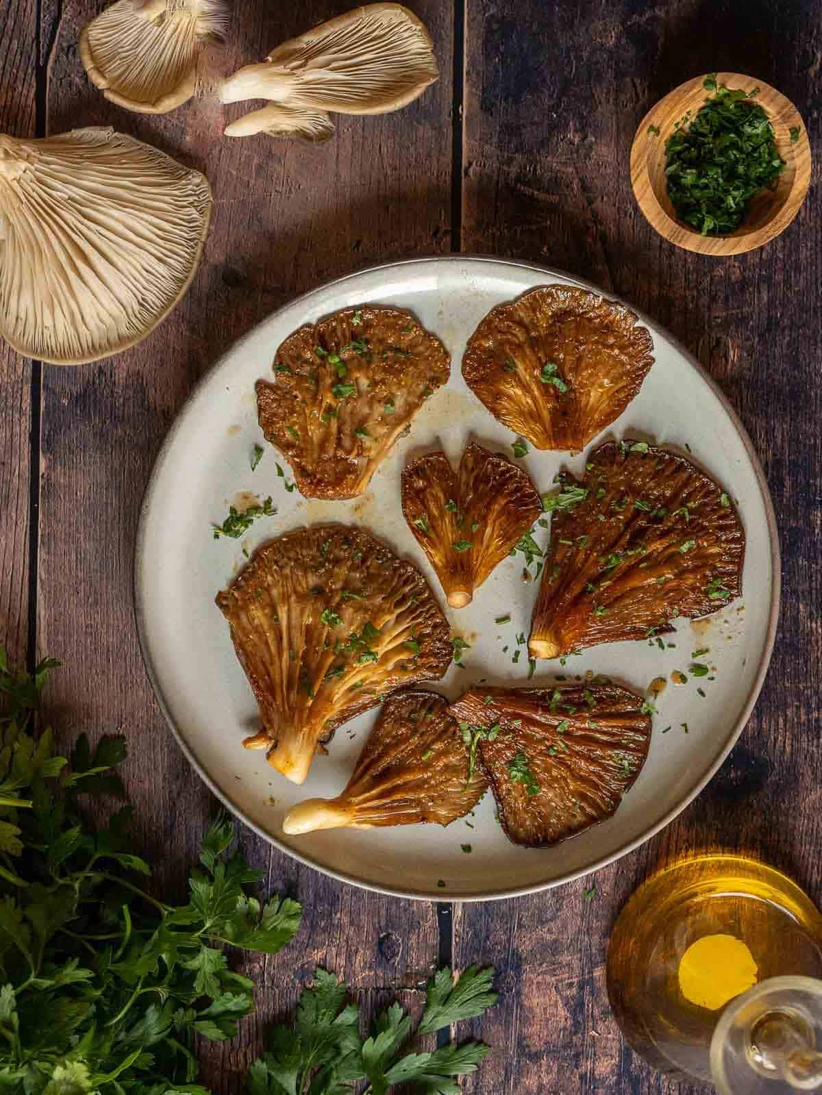 Air fryer outlet oysters