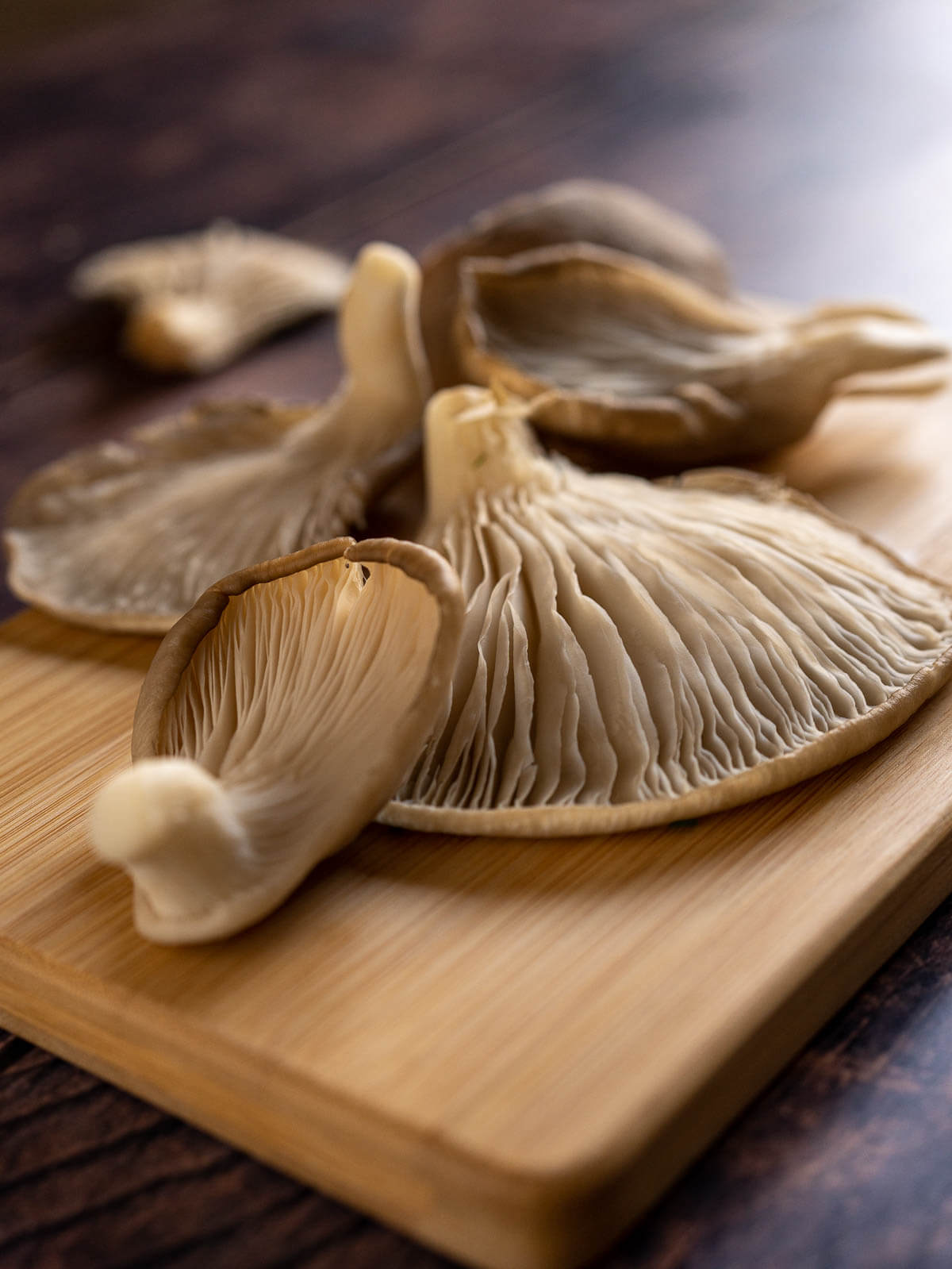 blue oyster mushrooms on a wooden table.