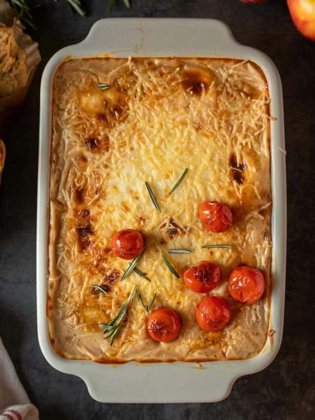 Vegan Main Meals Recipes • Our Plant-Based World