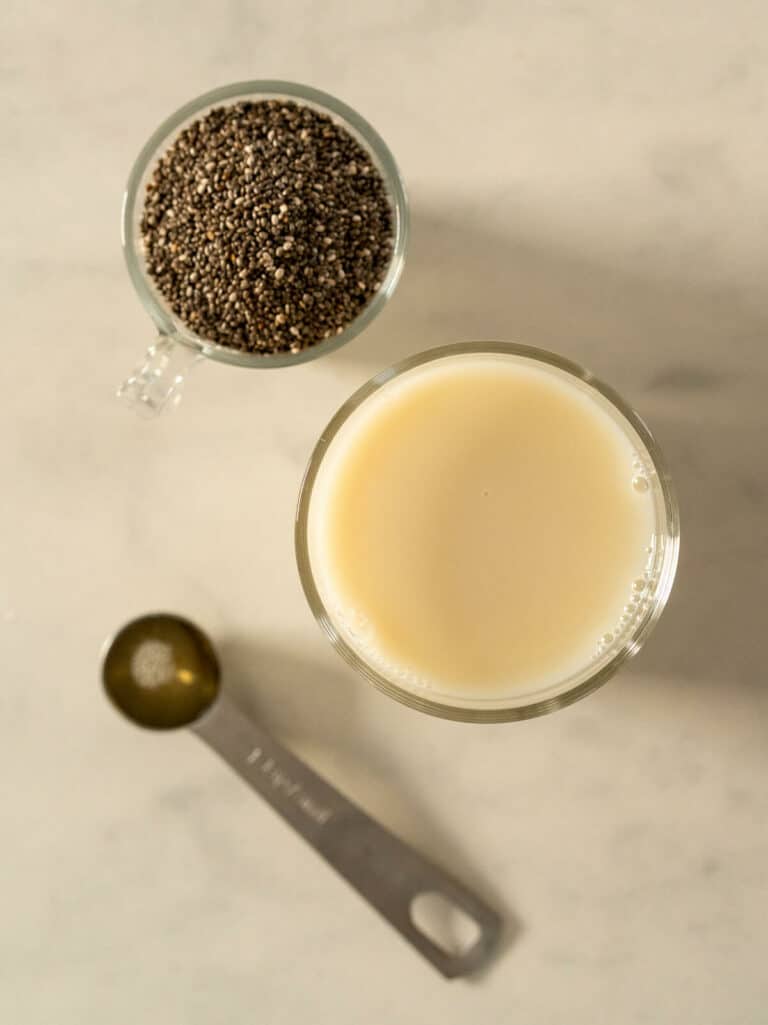 3-ingredient-chia-pudding-with-oat-milk-our-plant-based-world