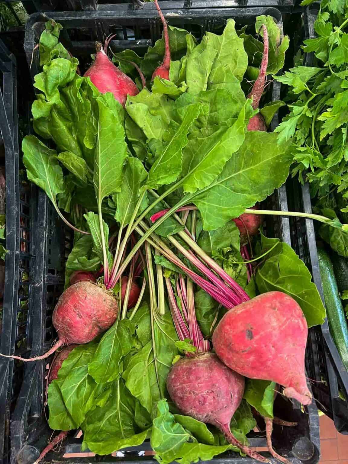 12 Benefits Beetroot Juice Before Workout Our PlantBased World