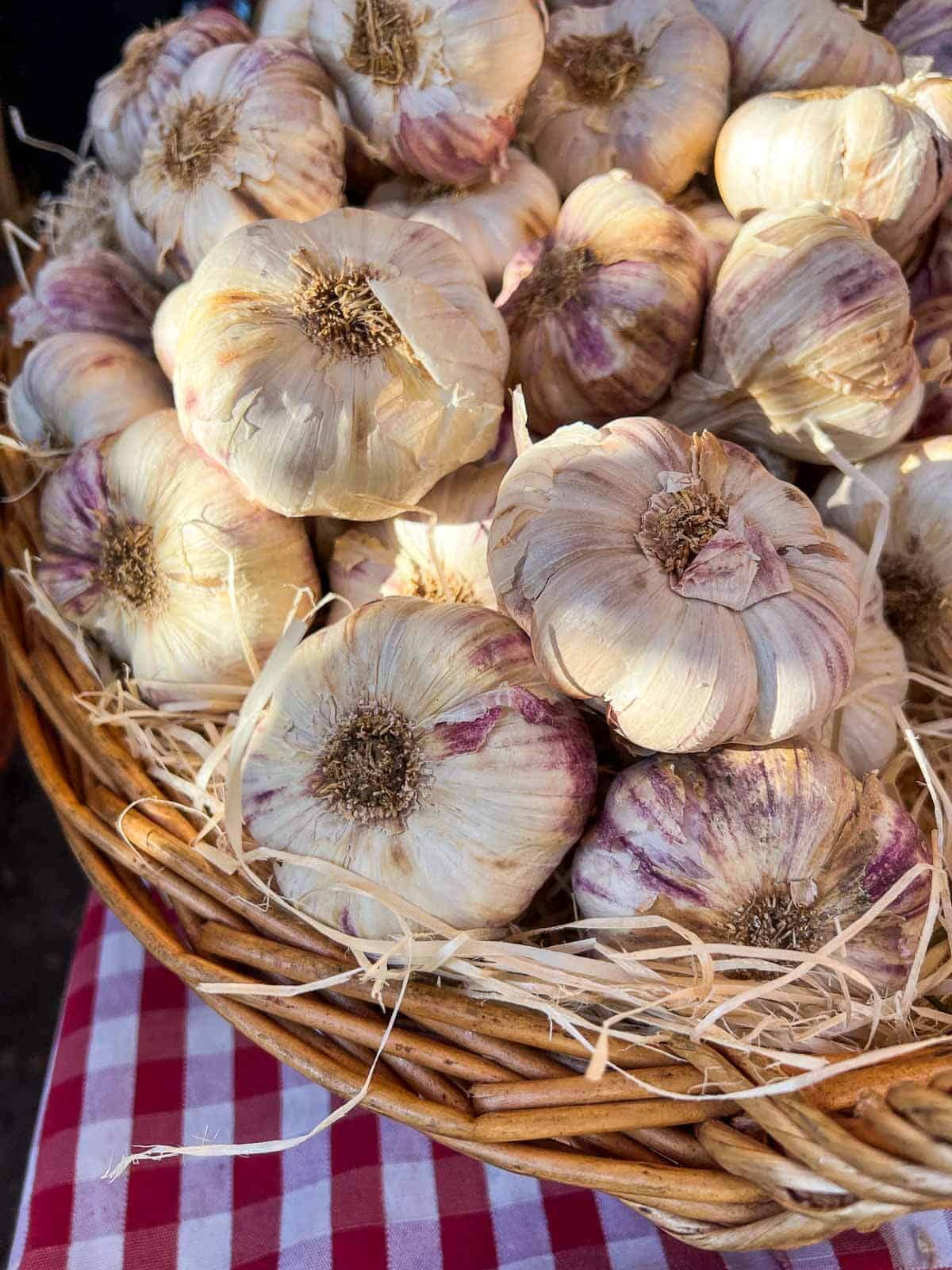 basket with garlic.