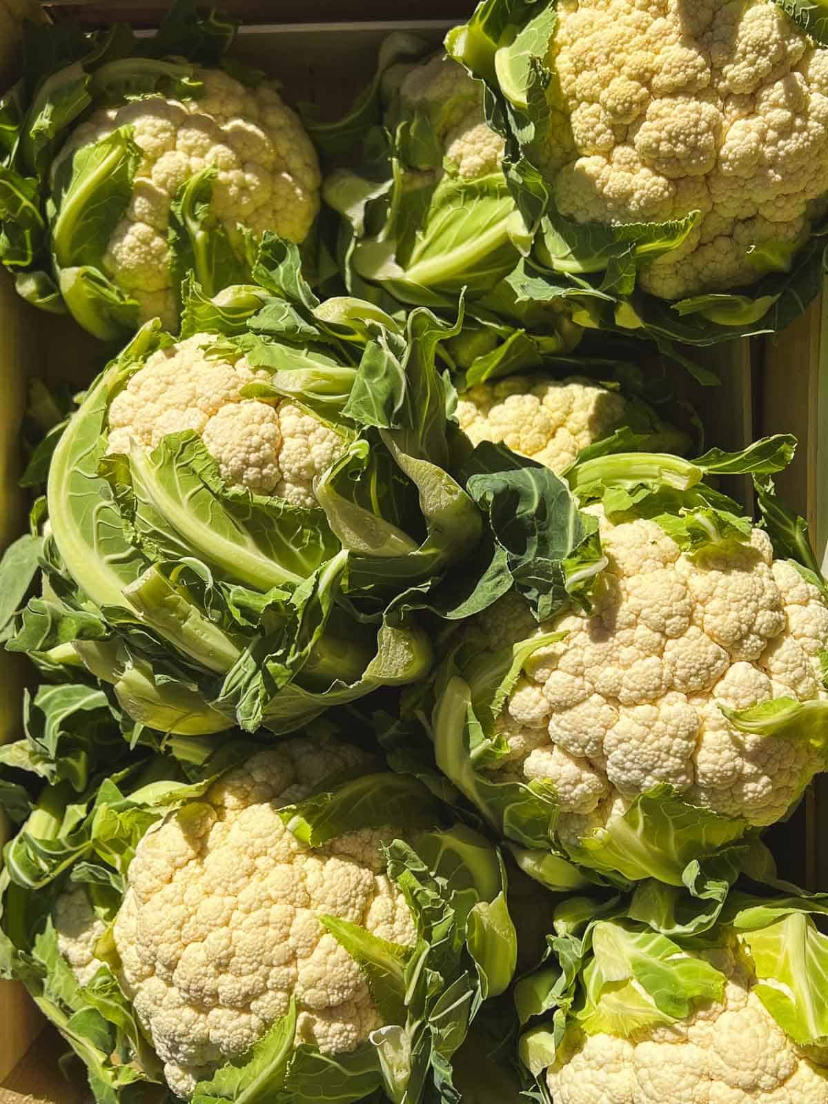 cauliflower in boxes in local market.