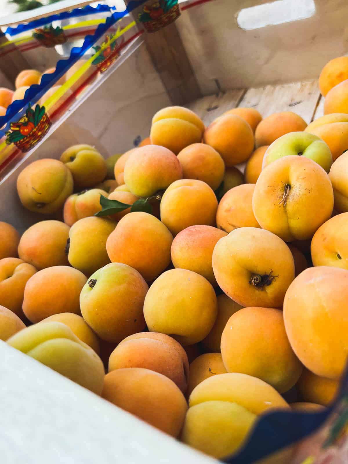 apricots in a box in the farmers market.