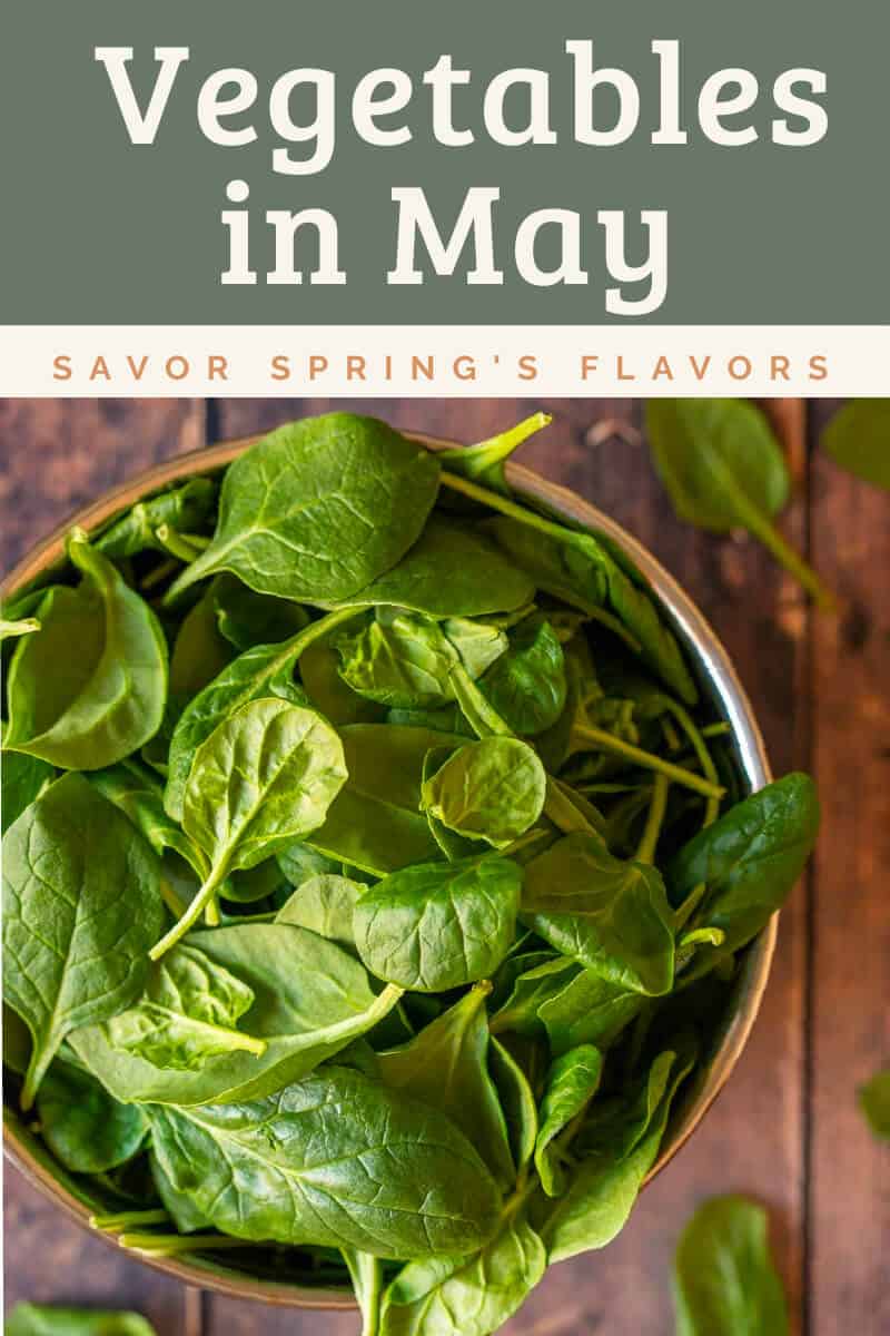 Seasonal Vegetables in May Savor Spring's Flavors • Our PlantBased World