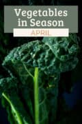vegetables in season in April pin.