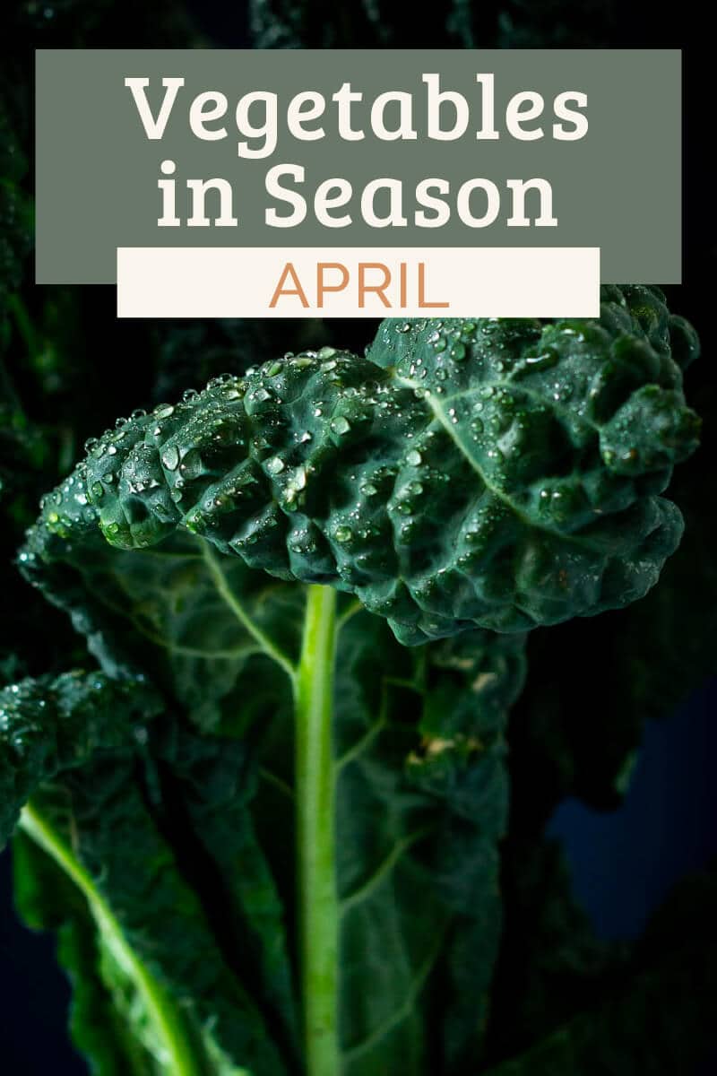 Vegetables in season in April Seasonal Produce Guide